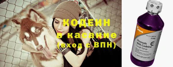 сатива Данков