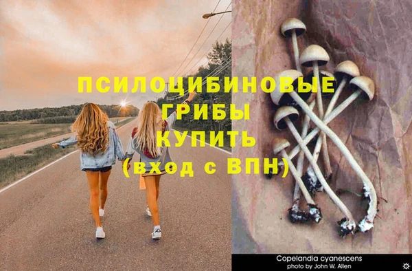 прущий лед Пестово