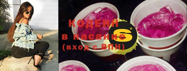 прущий лед Пестово