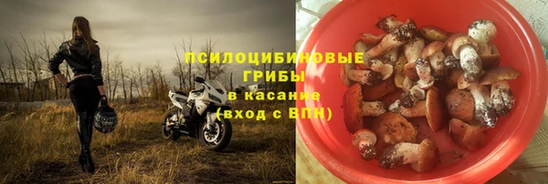 прущий лед Пестово