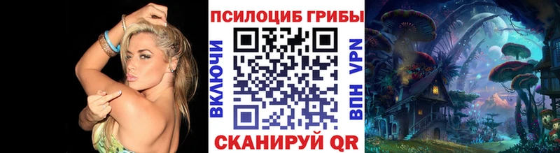 Псилоцибиновые грибы Psilocybine cubensis Тайшет