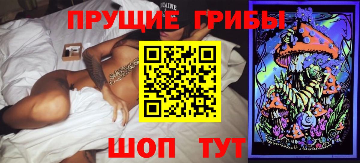 Тайшет  Псилоцибиновые грибы GOLDEN TEACHER  Вход с VPN 