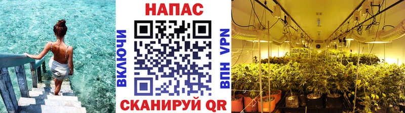 закладки  kraken маркетплейс  Шишки марихуана THC 21%  Тайшет 
